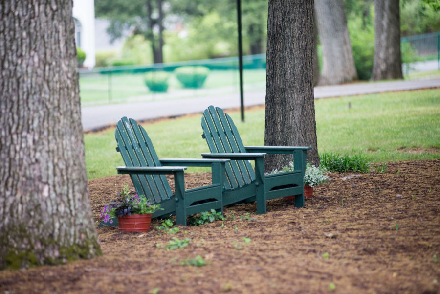 Two Adirondack chairs placed under trees in a peaceful garden setting.