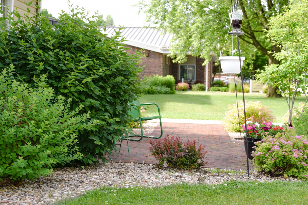 A tranquil garden with lush greenery, featuring a patio area and garden furniture.