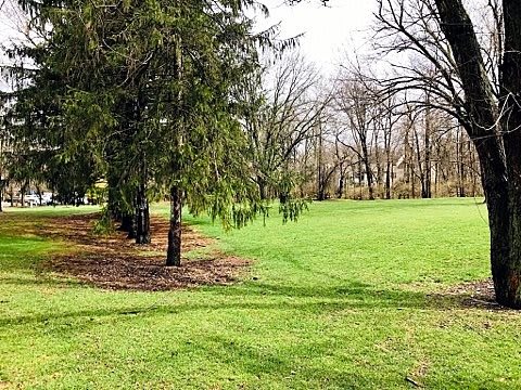 A serene park scene with lush green grass and a row of trees.
