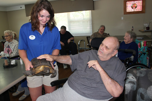 A caregiver introduces a turtle to residents in a communal space, promoting engagement and joy.