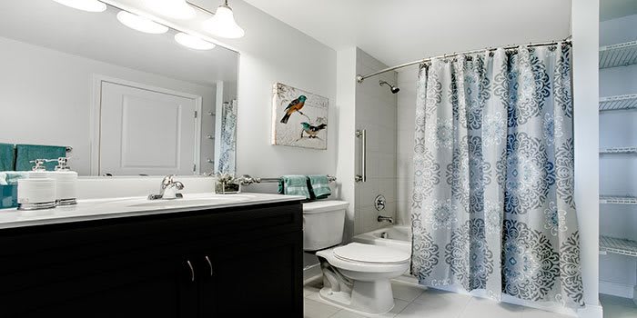 A modern bathroom with a sink, toilet, and shower curtain.