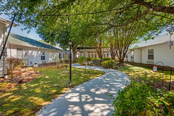 A peaceful garden with a winding pathway under the shade of tall trees.
