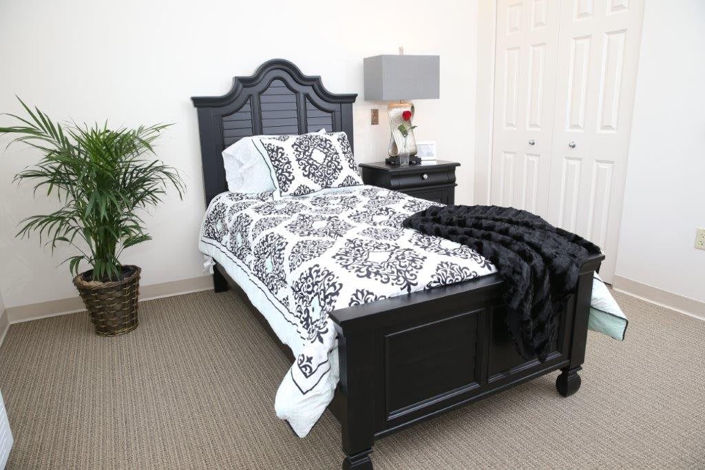 A stylish bedroom featuring a black bed with patterned bedding, accompanied by a nightstand and lamp, with a decorative plant in the corner.