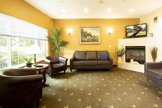 A cozy living room with a sofa, armchair, and fireplace, decorated with indoor plants and a painting.