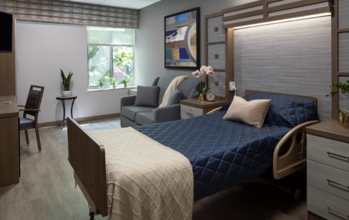 A well-furnished hospital room with a bed, sofa, and decorative elements.