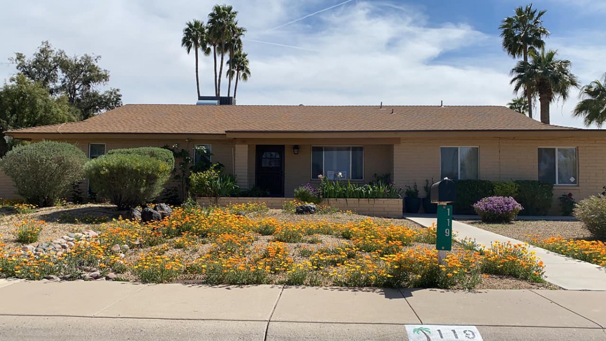 A house with desert landscaping and blooming flowers in the front yard under a clear sky.