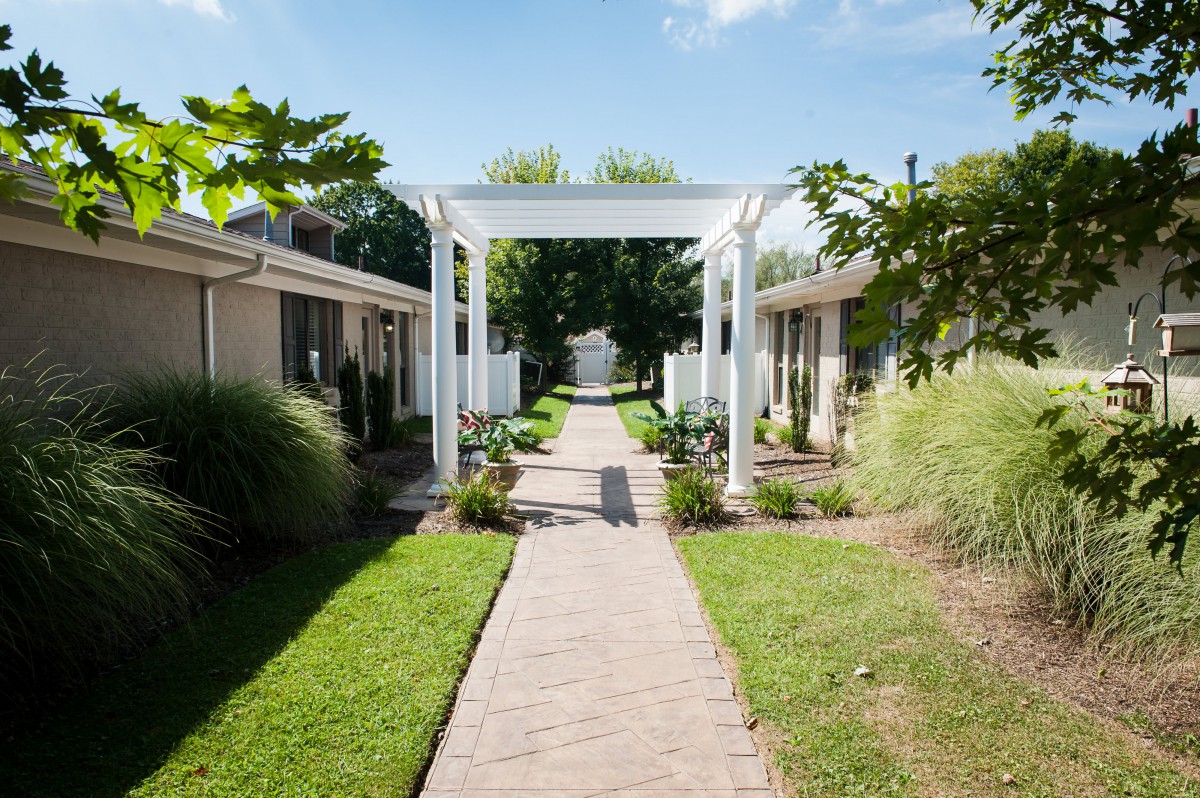 A charming garden path with a white archway flanked by greenery.