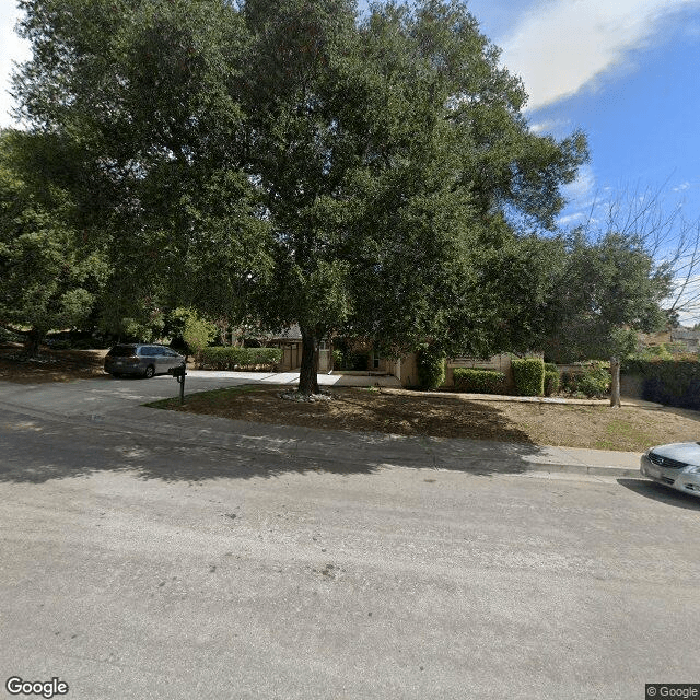 A suburban street with parked cars and a large tree.
