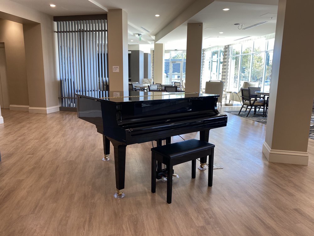 A sleek black grand piano in a modern living room setting.