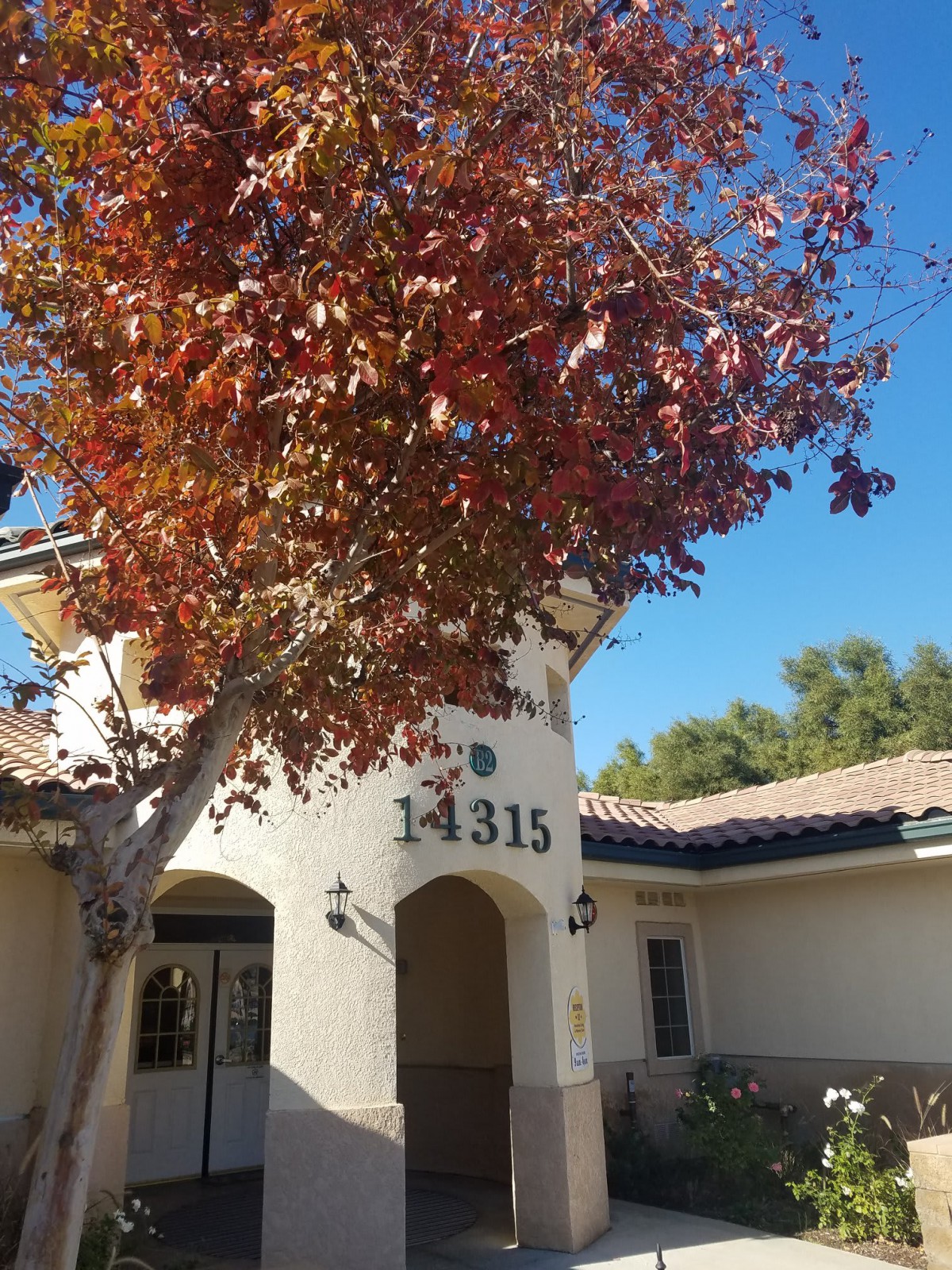 A building with an archway entrance and a tree with autumn leaves in the foreground.