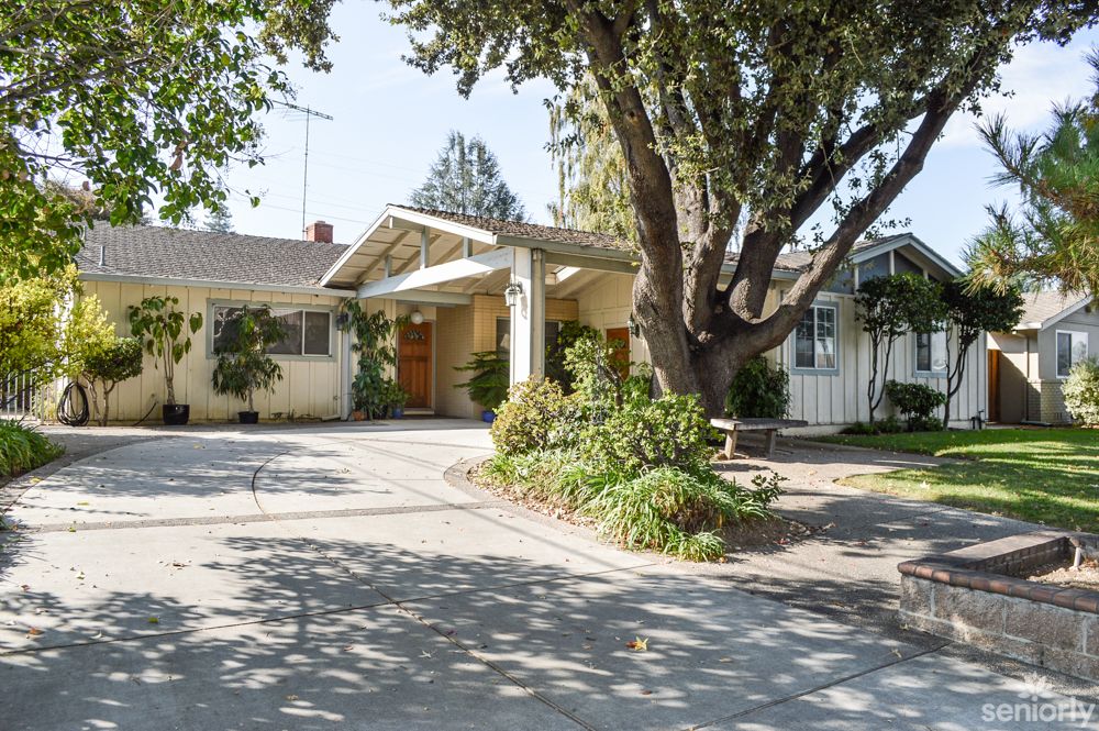 A suburban house with a large tree and driveway in the front yard.