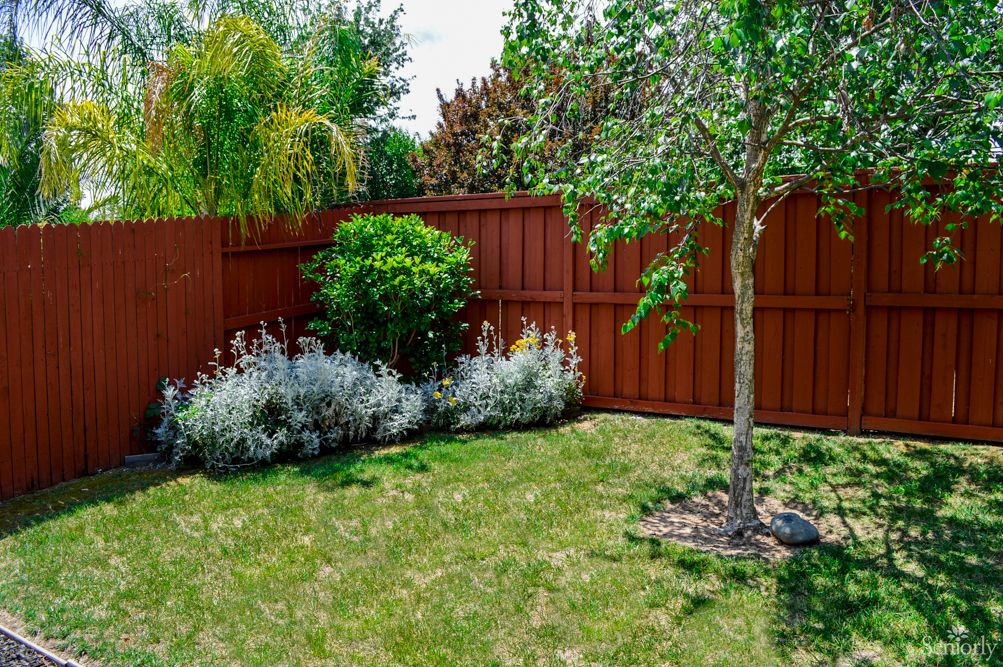 A well-maintained garden with a tree, shrubs, and a wooden fence.