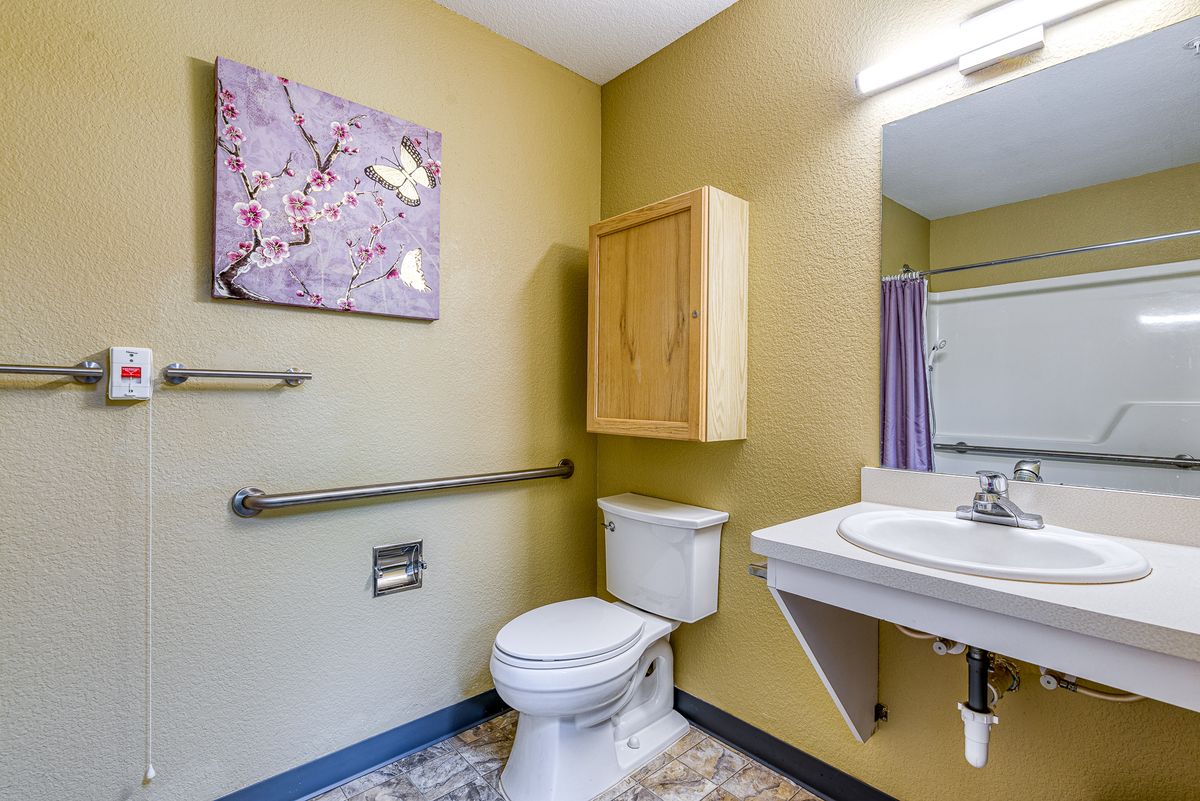 An accessible bathroom with a toilet, sink, handrails, and decorative artwork on the wall.