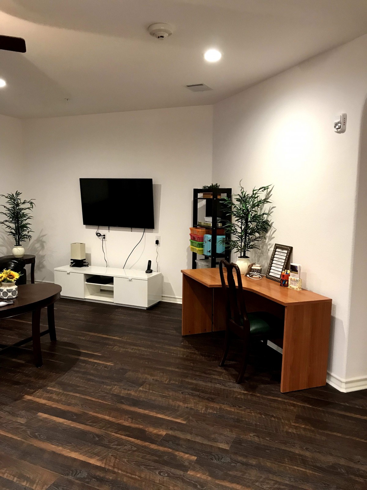 A cozy living room with a small office setup, featuring a desk, television, bookshelf, and indoor plants on hardwood flooring.