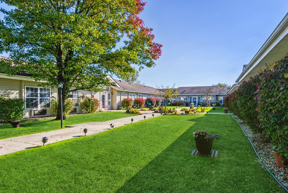 A beautifully maintained garden with a lush green lawn and a pathway leading to a charming building under a clear blue sky.