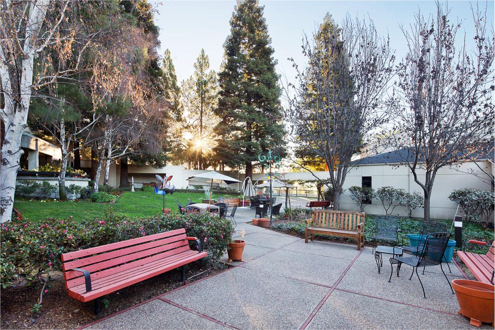 A peaceful garden with benches and trees during sunset.