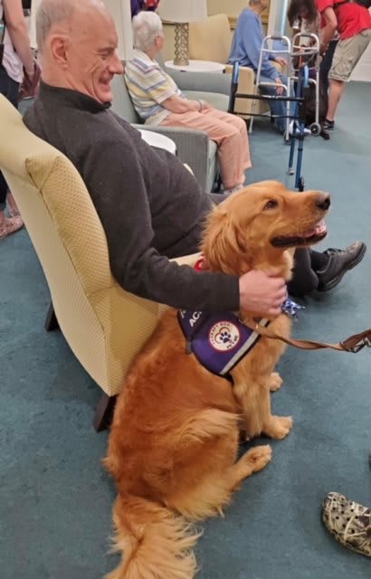 A therapy golden retriever sits beside a person in an indoor setting.