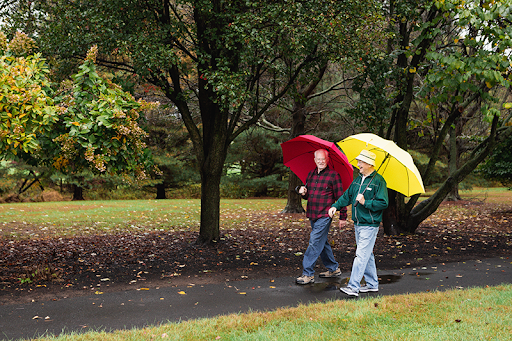 A couple enjoying a walk under colorful umbrellas on a rainy autumn day.