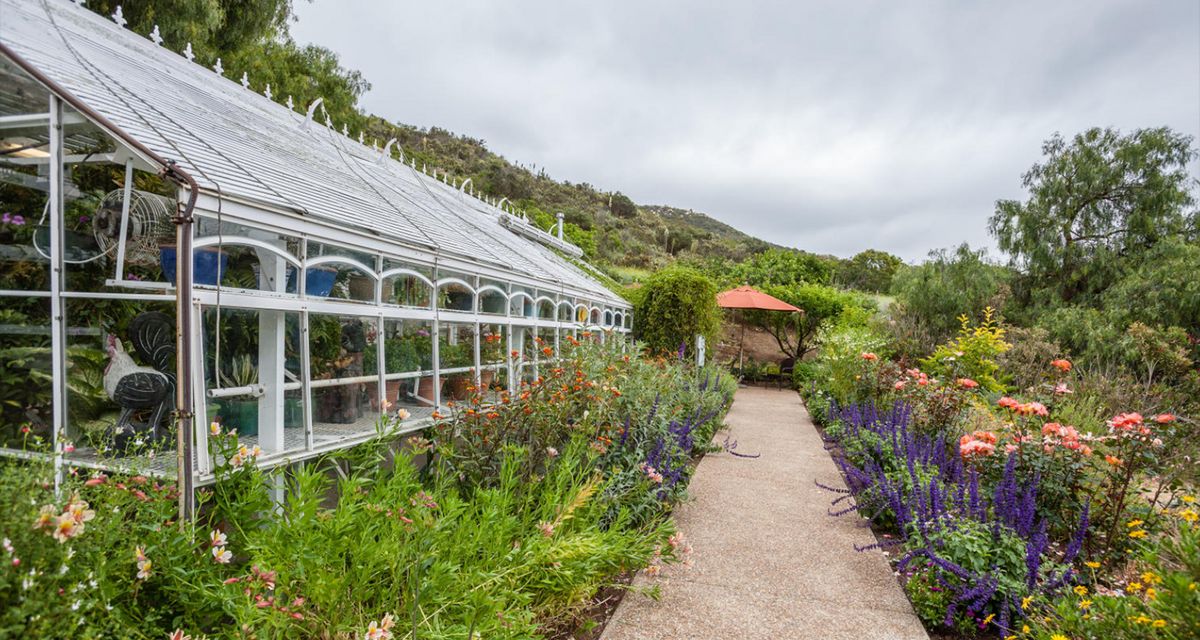 A scenic view of a greenhouse surrounded by lush gardens and a winding pathway.