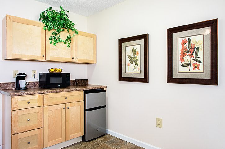 Compact kitchen area with wooden cabinets, a small refrigerator, microwave, and framed botanical art on the wall.