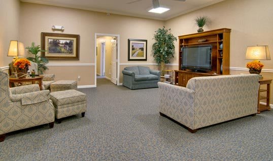 A cozy living room with sofas, a TV, and decorative elements.