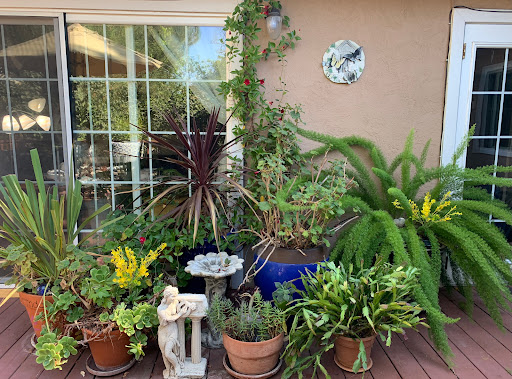 Pleasanton Senior Care Villa
