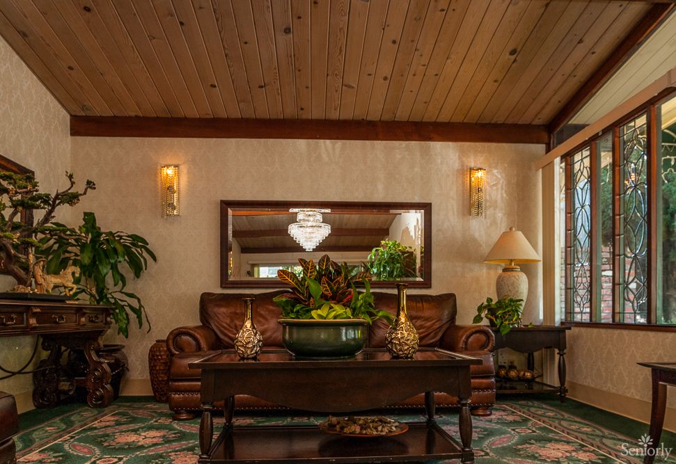 A cozy living room featuring a leather sofa, wooden coffee table with decorative items, and lush green plants.