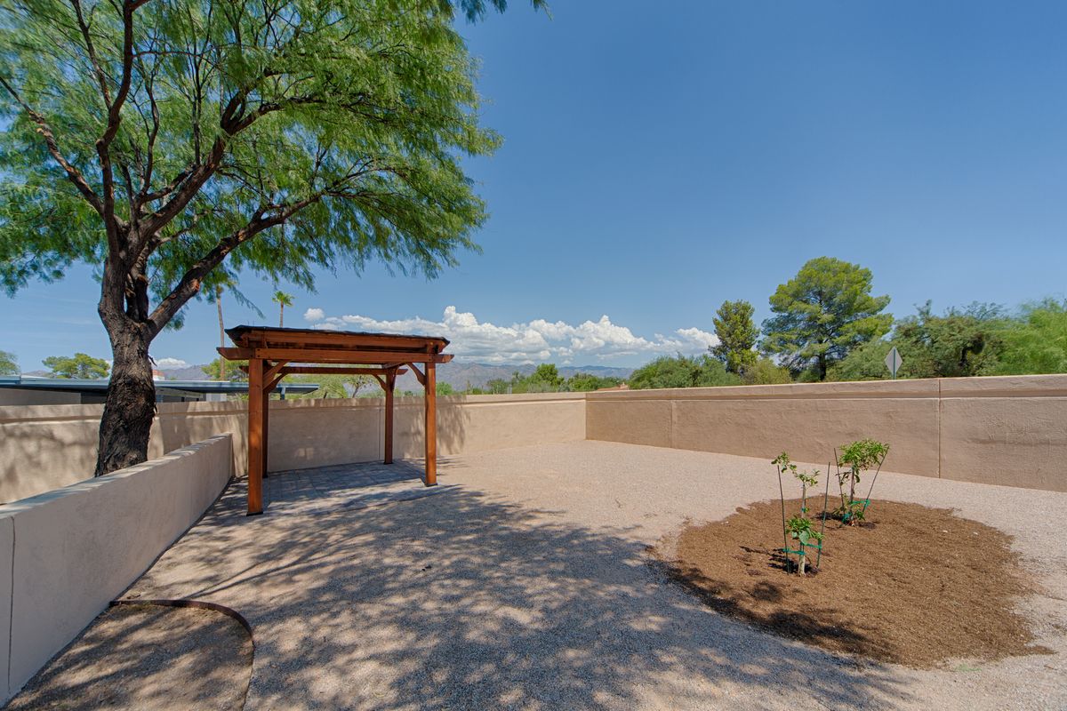 A beautiful backyard featuring a wooden pergola under a clear blue sky, with trees and landscaped areas.