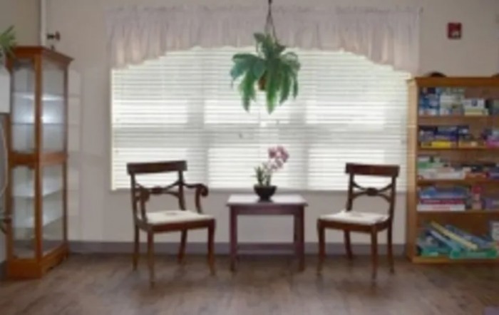 A cozy sitting area with two wooden chairs, a small table holding an orchid, and a hanging plant by the window with blinds.