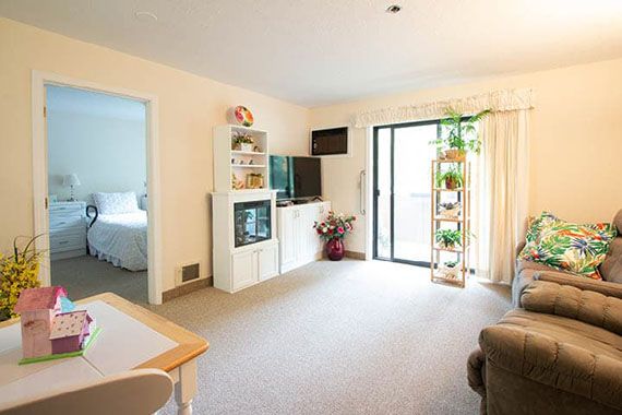 A cozy living room with a television, plants, and a sliding door leading to an outdoor space.