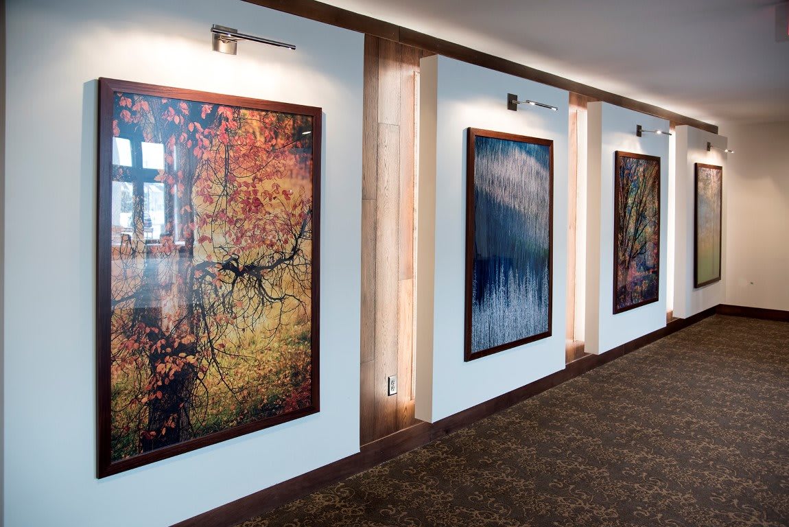 A hallway showcasing an art exhibition with large framed paintings on the walls.