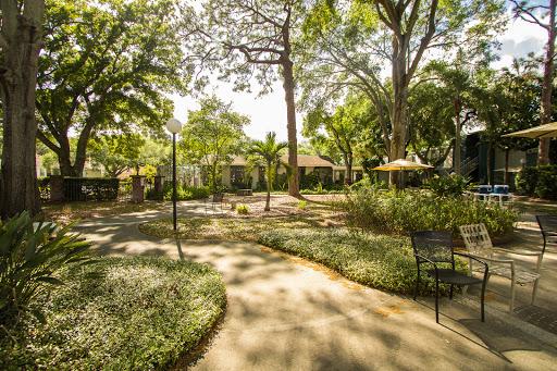 A serene park featuring lush greenery and a winding pathway under the shade of trees.
