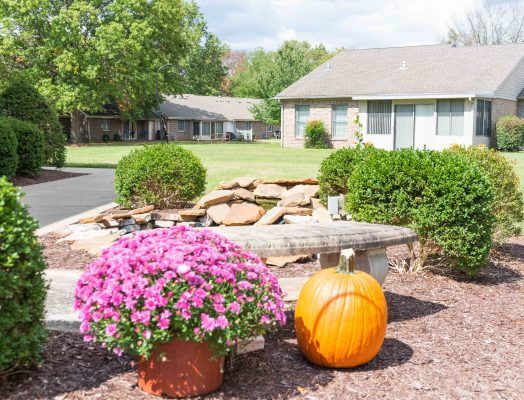A garden setting with pink flowers and a large pumpkin, showcasing an autumn landscape.