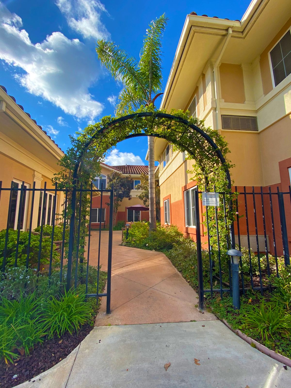 A scenic outdoor walkway with an archway covered in greenery, leading to a building under a bright blue sky.