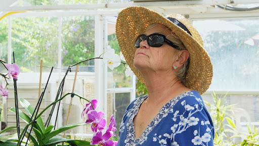 A woman wearing a wide-brimmed hat and sunglasses gazes thoughtfully among the orchids in a sunlit greenhouse.