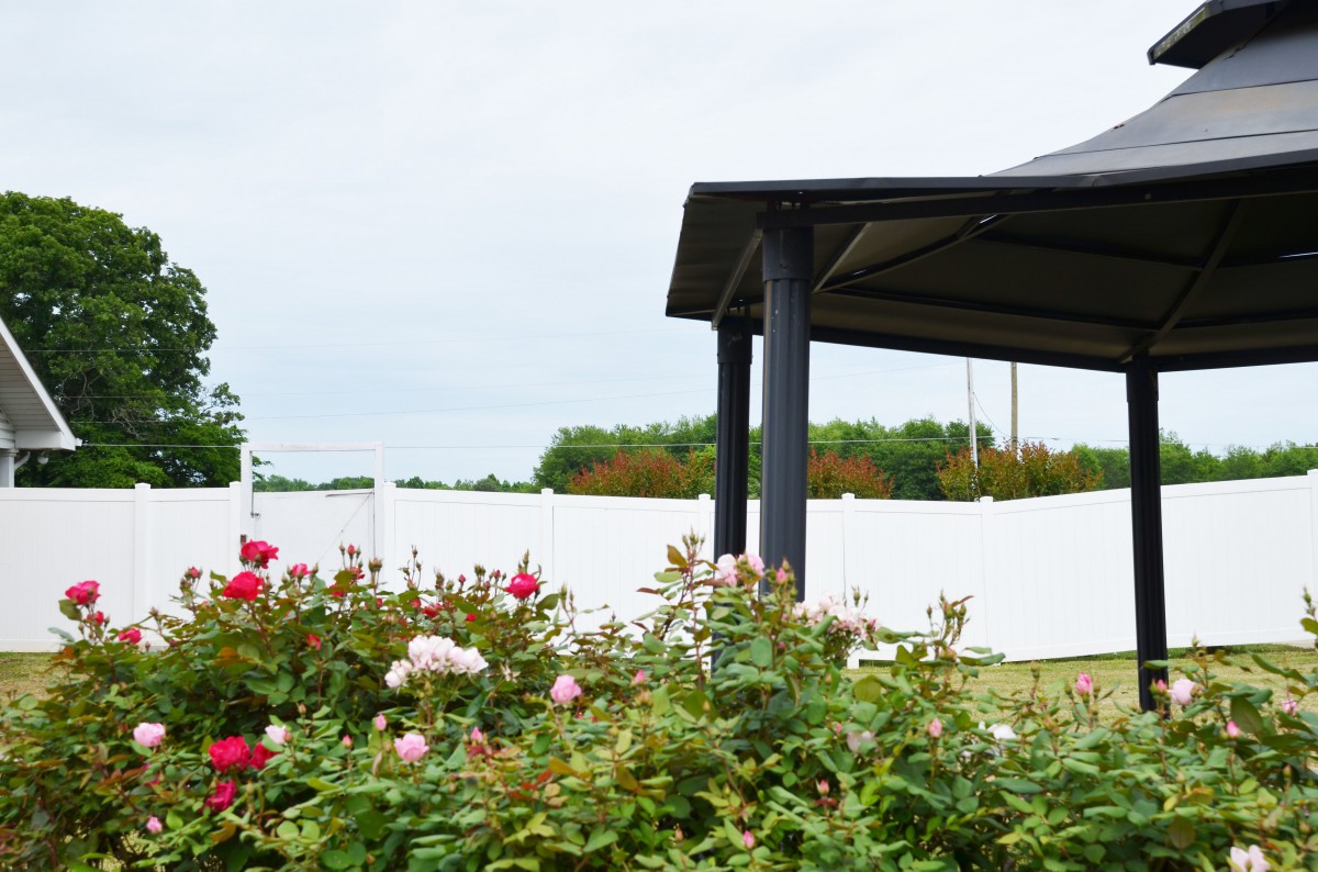 A serene garden with blooming roses under a gazebo.
