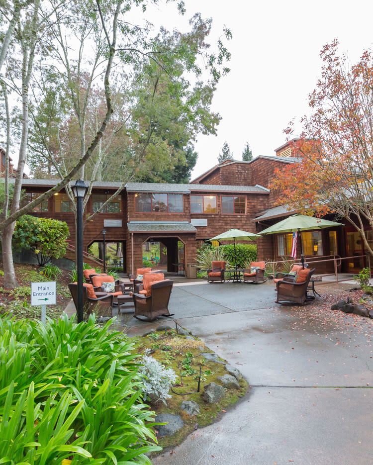 A charming outdoor seating area with umbrellas and lush greenery surrounding a rustic building.