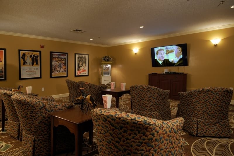 A cozy home theater room with comfortable armchairs facing a television screen, decorated with movie posters and leopard print upholstery.