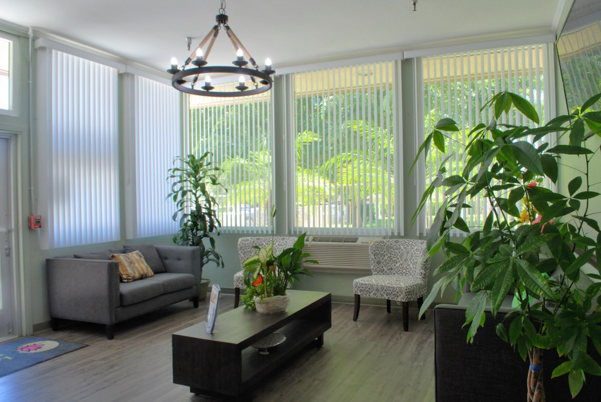 A bright and cozy living room filled with natural light, featuring comfortable seating and various indoor plants.