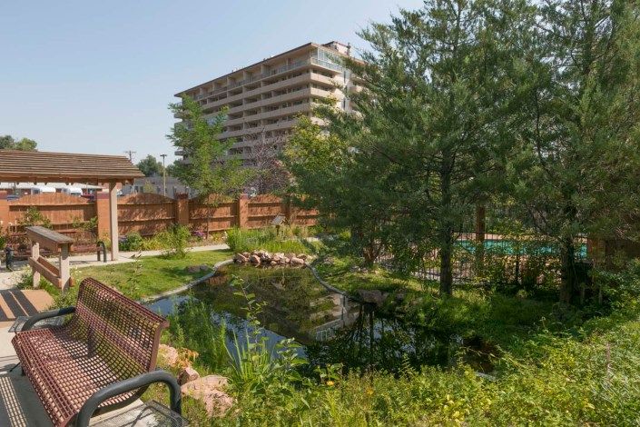 A serene garden with a small pond, surrounded by trees and a wooden fence, with a tall building in the background.