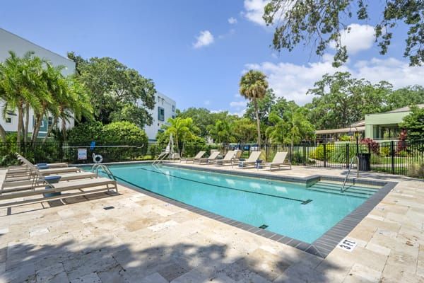 A tranquil outdoor swimming pool surrounded by tropical trees and lounge chairs on a sunny day.