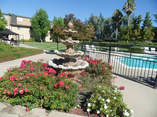 A serene garden featuring a beautiful fountain surrounded by vibrant flowers, with a swimming pool in the background.