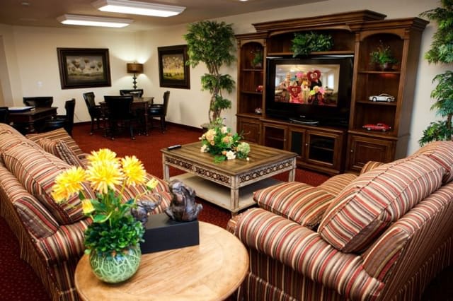 A cozy living room with comfortable seating, a TV, and decorative plants.