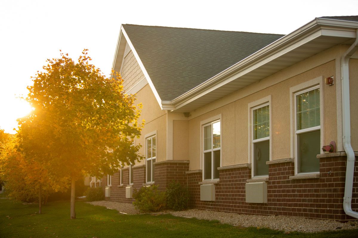 A sunlit exterior view of a building with large windows and a tree nearby.