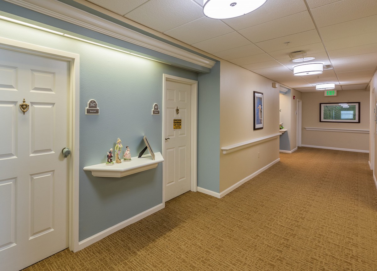 A well-lit hallway with doors on either side and a decorative shelf.