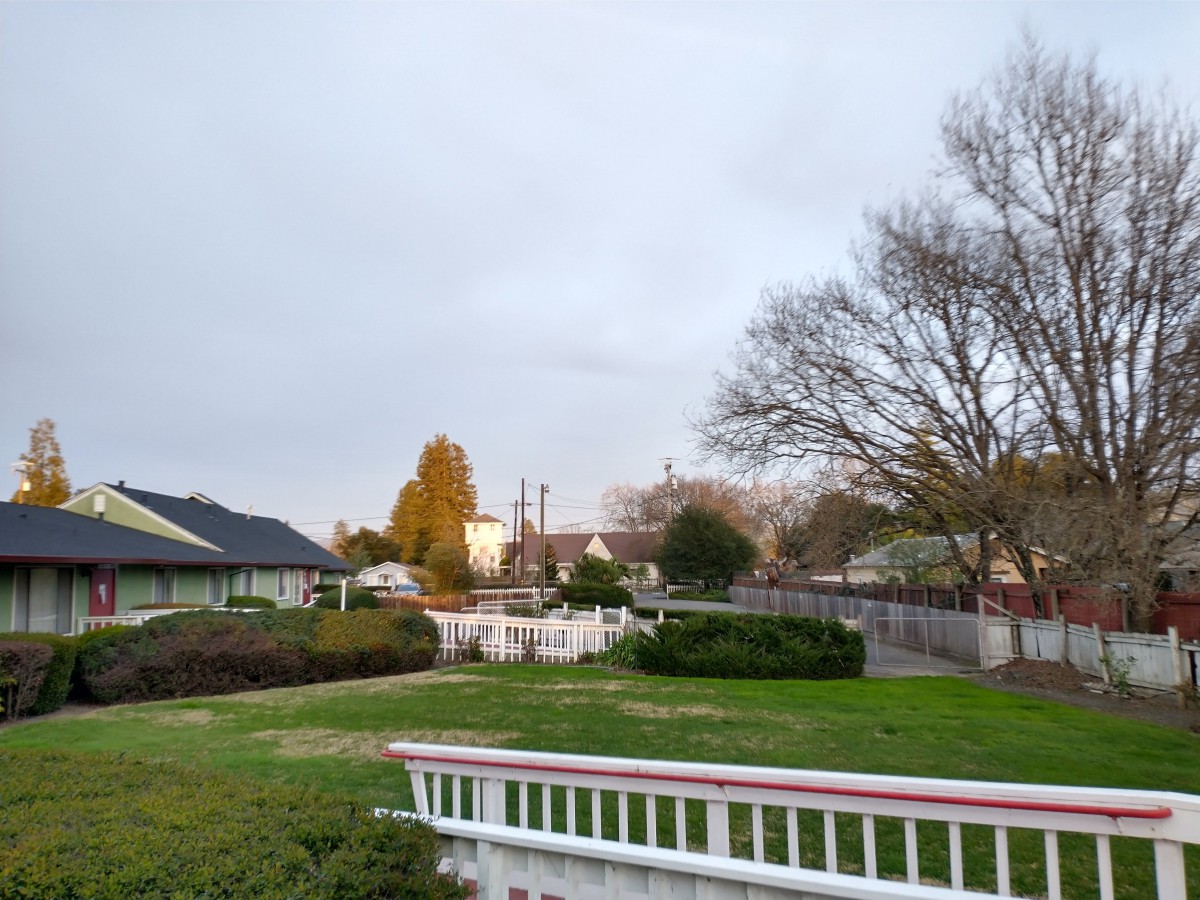 A peaceful backyard scene with a wooden fence, trees, and overcast sky.
