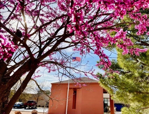 Desert Springs Health Care