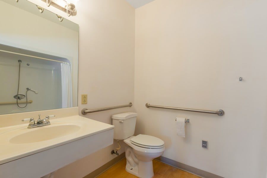 An accessible bathroom with a toilet, sink, mirror, and handrails.