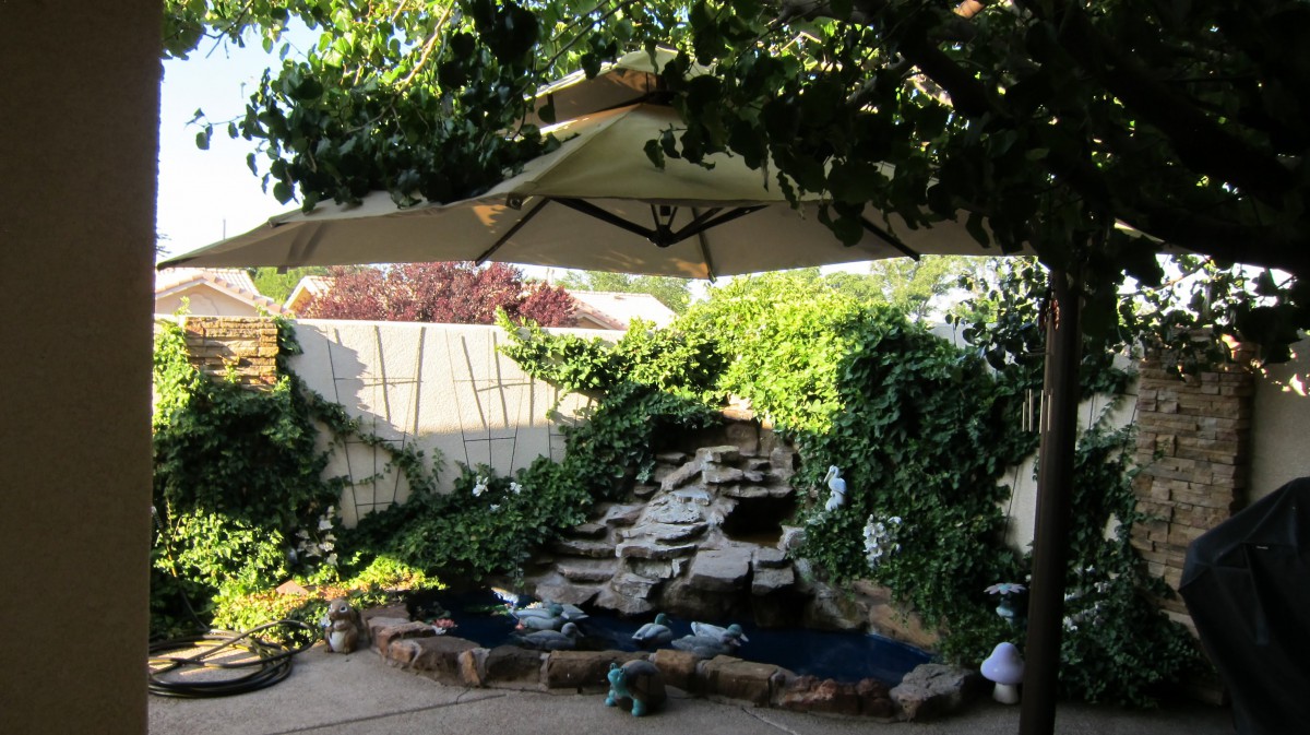 Buena Vista Senior Care