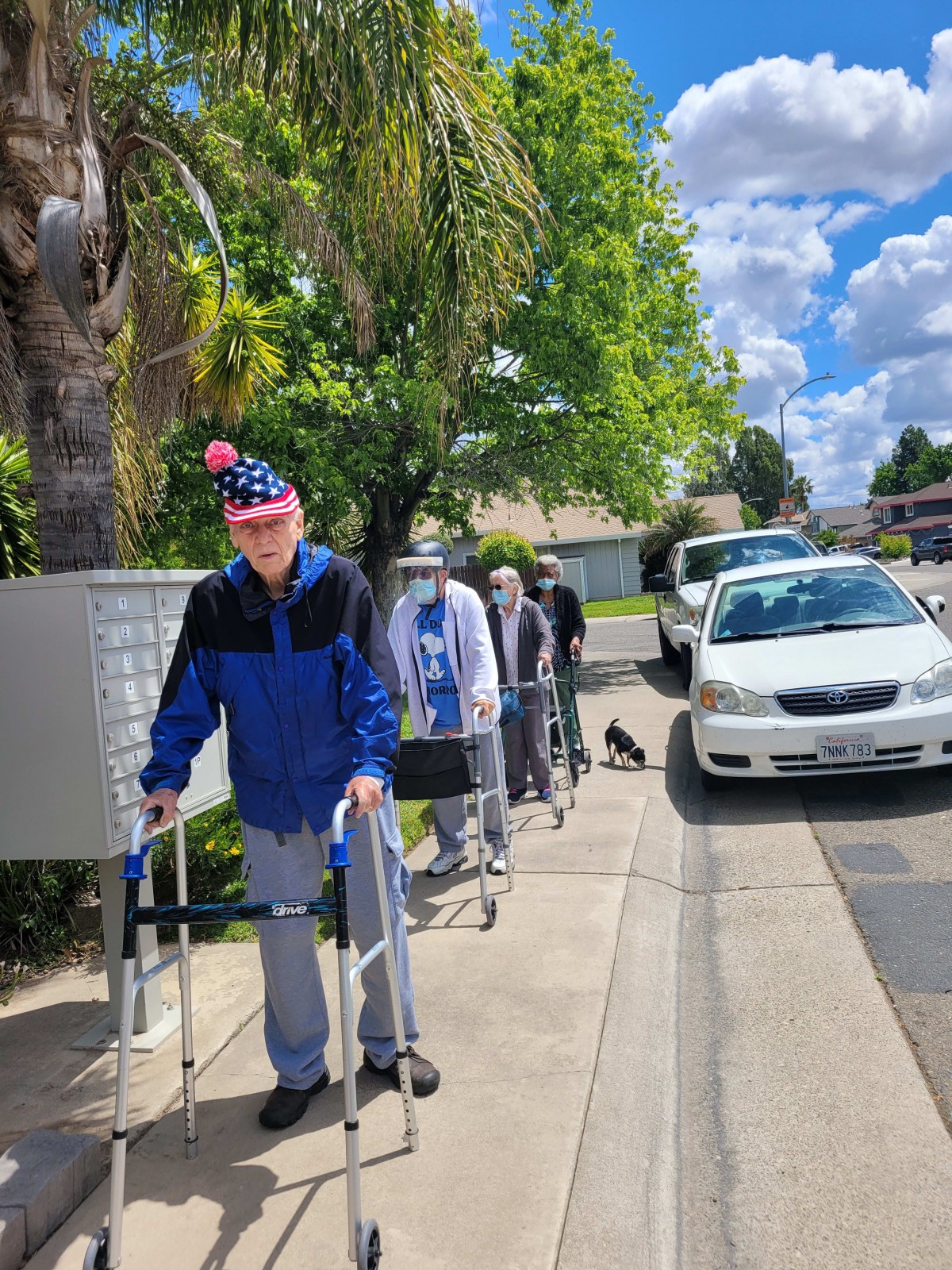 Elderly individuals walking with assistance devices along a sunny neighborhood street.